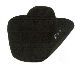 The Arena custom hat in Black